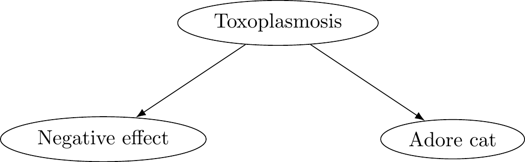 Toxoplasmosis problem